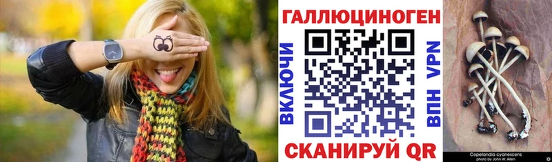 где можно купить наркотик Новоалтайск Псилоцибиновые грибы прущие грибы