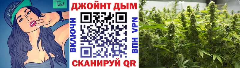 Конопля план  закладка  Новоалтайск 